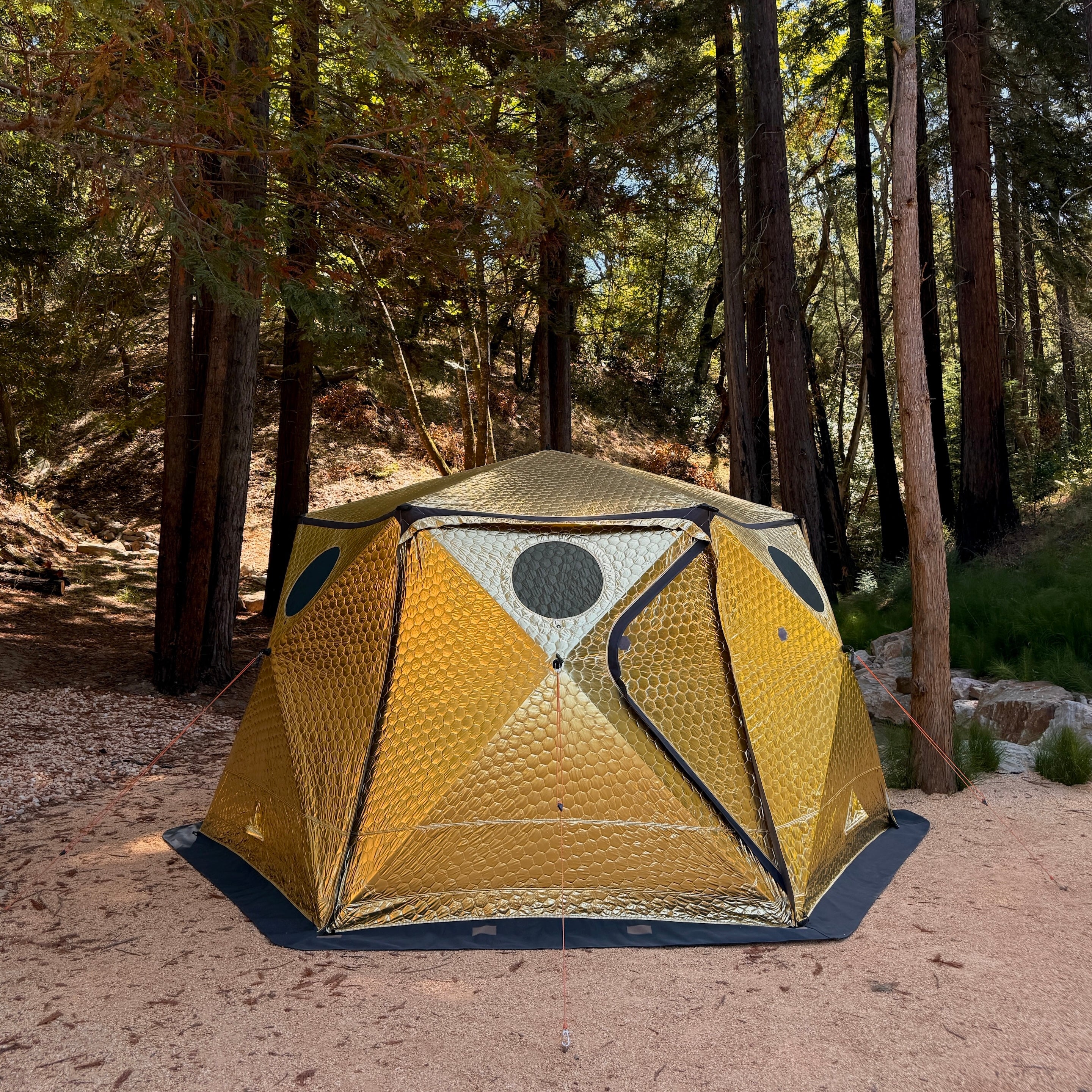 SHIFTPODX Expedition Limited Edition Gold (pre-order)